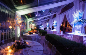 29.Party in veranda
